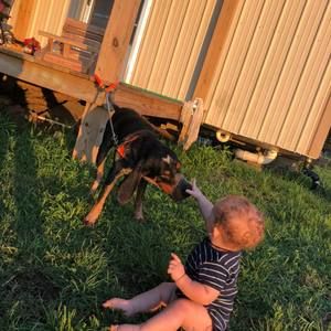 Meet your Posher, Braxton